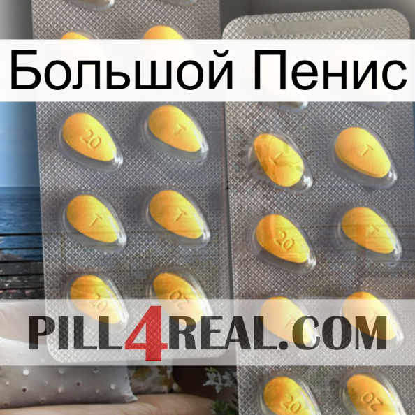 Большой Пенис cialis2.jpg